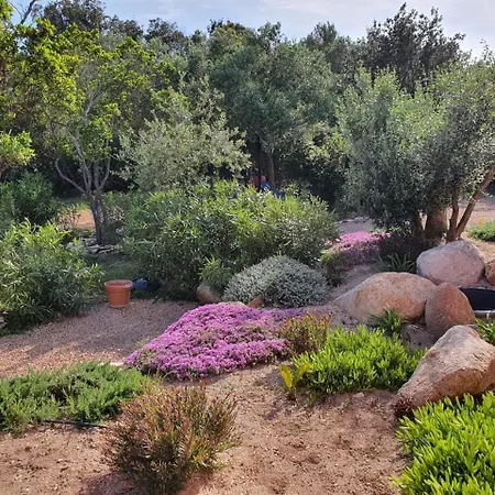 別荘 Mini-villas Celia A *