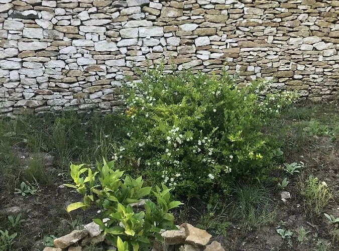 Mini-villas Celia A Bonifacio (Corsica)