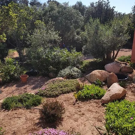 Σπίτι διακοπών Mini-villas Celia A Bonifacio (Corsica)