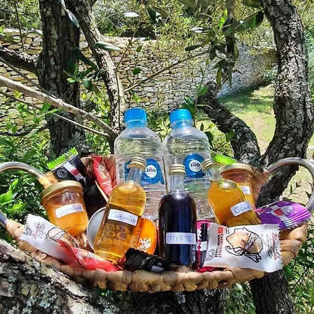 Semesterbostad Mini-villas Celia A