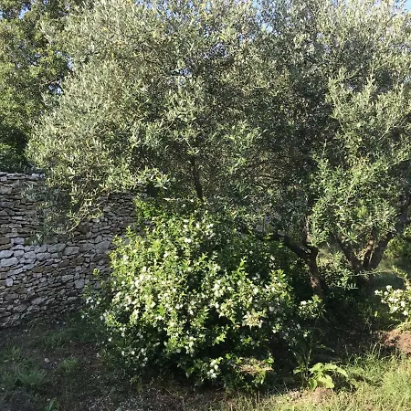 Semesterbostad Mini-villas Celia A Bonifacio (Corsica)