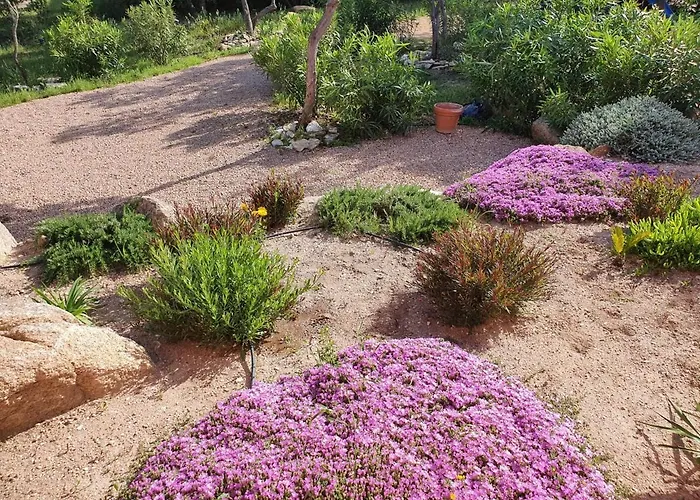 بيت للعطل Mini-villas Celia A *